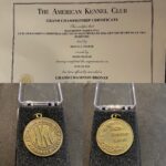 A title certificate from AKC for Grand Champion Bronze for Bayside's Christmas Gift to Go West. Below is a picture of the medal issued by AKC for the achievement. One side has AKC in the middle surrounded by text: American Kennel Club, Foounded 1884. Other side says 'GCH-Bronze-Level