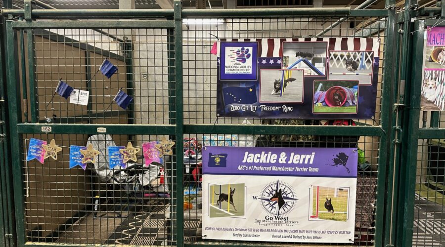 Decorated stall from 2023 AKC Agility nationals. One banner says 'Zero G's Let Freedom Ring' with many pictures of a Miniature American Shepherd. The other says 'Jerri & Jackie, AKC's #1 Preferred manchester Terrier Team' with a Logo for Go West Dogs (compass with manchester head in the middle) and pictures of manchester terrier doing agility.