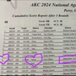 A photograph of the cumulative Score Report after 3 rounds for the 2024 National Agility Championships. #9 has a heart around it as does the dog's name, Jackie. The dog is run by Jerri Gillean, Sport Positive Founder.